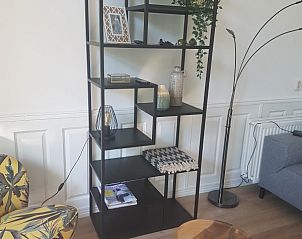 Stijlvolle boekenkast in de woonkamer van Bospark De Schaapskooi vakantiehuis in Epe, Veluwe.