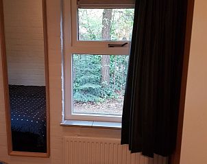 Uitzicht op de groene omgeving vanuit de slaapkamer van Bospark De Schaapskooi bungalow in Epe, Veluwe.