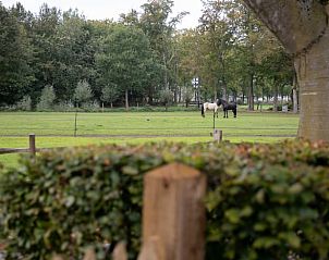Rustig uitzicht op de weide bij Huisje in Oldebroek in de Veluwe, Gelderland.