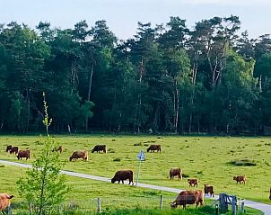 Verblijf 323703 - Vakantiewoning Veluwe - Huisje in De Steeg