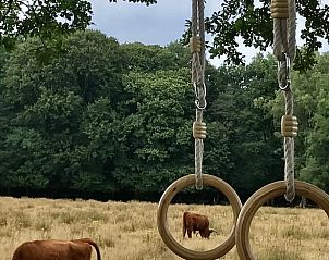 Verblijf 323703 - Vakantiewoning Veluwe - Huisje in De Steeg