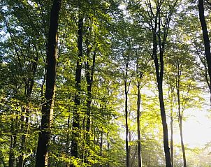 Verblijf 323703 - Vakantiewoning Veluwe - Huisje in De Steeg