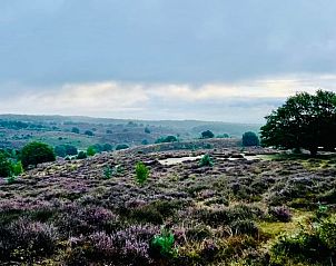 Verblijf 323703 - Vakantiewoning Veluwe - Huisje in De Steeg