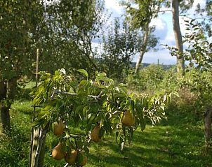 Moderne douche in Vakantiehuis in De Steeg, Veluwe, Gelderland.