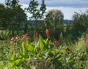 Fruitboomgaard bij Vakantiehuis in De Steeg, Veluwe, Gelderland.