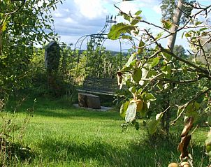 Kleurrijke bloementuin bij Vakantiehuis in De Steeg, Veluwe.