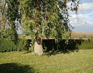 Verblijf 323704 - Vakantiewoning Veluwe - Vakantiehuis in De Steeg