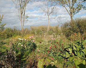 Verblijf 323704 - Vakantiewoning Veluwe - Vakantiehuis in De Steeg