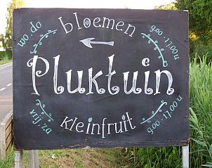 Guest house 323905 - Bed and Breakfast Veluwe - Borchgstede