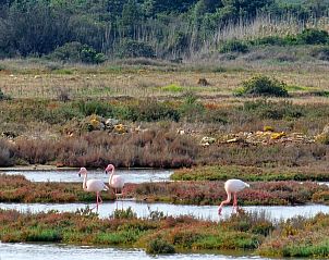 Guest house 32409304 - Bed and Breakfast Sardinia - Agriturismo Is Solinas
