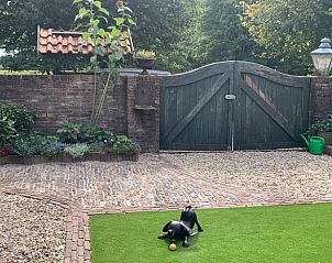 Enclosed garden at vacation home Hoog Soeren, Veluwe, with green plants.