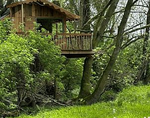 Veranda van Vakantiehuis in Nijkerk, Veluwe, Gelderland, met uitzicht op weelderig groen.