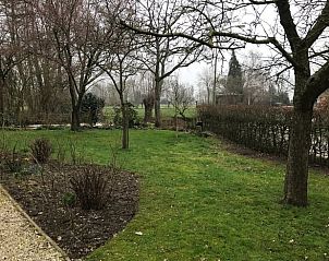 Landschappelijke tuin bij Huisje in Oene, vakantiehuis in Oene, Veluwe, Gelderland, met groene grasvelden en bomen.
