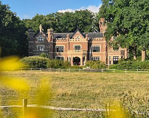 Guest house 328206 - Holiday property Veluwe - Huisje in Barneveld