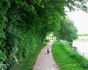 Gezellige bedstee in Vakantiehuisje in Hemmen, Veluwe, Gelderland met open deur naar de tuin.