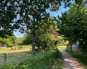 Landelijk pad naast Vakantiehuisje in Hemmen, Veluwe, Gelderland met bomen en omheining.