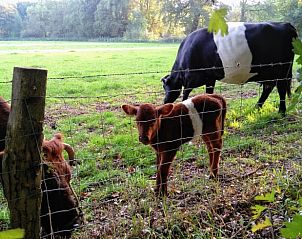 Verblijf 328301 - Vakantiewoning Veluwe - Vakantiehuisje in Hemmen