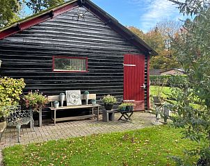 Houten schuurtje in de tuin van Huisje in Houtdorp, Ermelo, Veluwe, Gelderland.