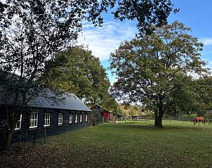 Uitzicht op groene weide bij Huisje in Houtdorp, Ermelo, Veluwe, Gelderland.
