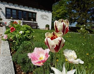 Verblijf 32903303 - Vakantiewoning Beieren - Gästehaus Funk