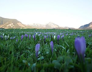 Verblijf 32903303 - Vakantiewoning Beieren - Gästehaus Funk