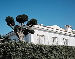 Verblijf 34016003 - Vakantie appartement Mallorca - Prinsotel La Caleta