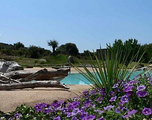Verblijf 3404304 - Vakantie appartement Corsica - L'Alivi di l'Osari