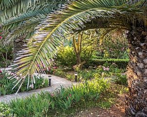 Verblijf 34216006 - Vakantie appartement Mallorca - Hotel Rural Biniarroca - Adults Only