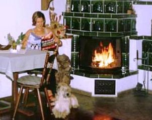 Verblijf 3603202 - Vakantie appartement Thüringen - Hotel Drei Kronen