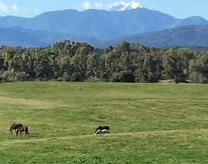 Unterkunft 3804303 - Appartement Korsika - U-Casone