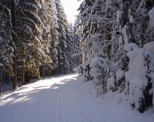 Guest house 39103307 - Apartment Bavaria - Ferienwohnungen Claus