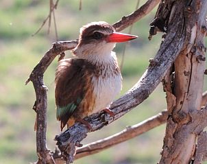 Verblijf 4027230 - Vakantiewoning West-Kaap - Riverside Guest Lodge