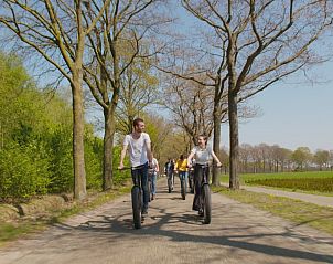 Fietsen door de prachtige natuur rondom De Schaapskooi vakantiehuis in Hoogeloon, Kempen, Noord Brabant.