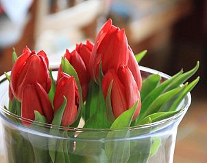 Guest house 4111803 - Apartment Vorarlberg - Katharinahof Ferienpension