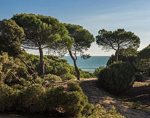 Verblijf 4115205 - Appartement Costa de la Luz - Apartamentos Costa Luz Punta Umbría