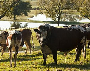 Verblijf 4126601 - Vakantie appartement Kwazoeloe-Natal - Whispering Waters