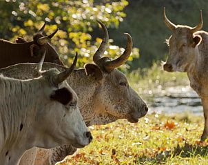 Verblijf 4126601 - Vakantie appartement Kwazoeloe-Natal - Whispering Waters