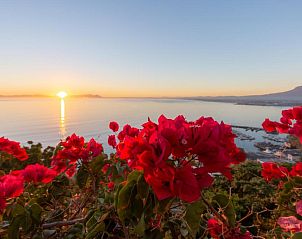 Guest house 4227207 - Holiday property West-Kaap - Celtic Manor Boutique Guest House