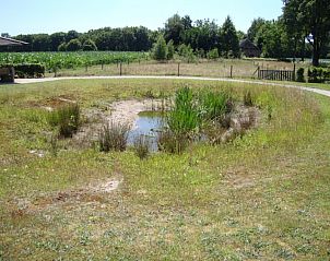 Unterkunft 433301 - Ferienhaus Noordoost Brabant - De Lindenhoeve