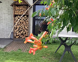 Unterkunft 433405 - Ferienhaus Noordoost Brabant - Vakantiehuisje in Escharen