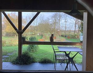 Unterkunft 433405 - Ferienhaus Noordoost Brabant - Vakantiehuisje in Escharen