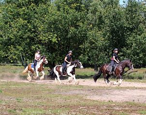 Unterkunft 436403 - Ferienhaus Noordoost Brabant - Vakantiehuis in Ledeacker