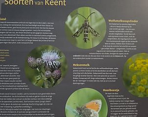 Unterkunft 436801 - Ferienhaus Noordoost Brabant - Vakantiehuisje in Keent