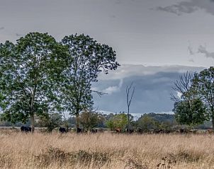 Unterkunft 436802 - Ferienhaus Noordoost Brabant - Huisje in Keent