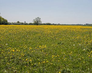 Unterkunft 436802 - Ferienhaus Noordoost Brabant - Huisje in Keent