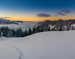 Guest house 4411801 - Apartment Vorarlberg - Relax- und Vitalhotel Adler