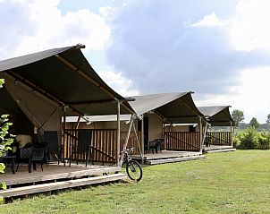 Guest house 441408 • Tent house West Brabant • Safaritent + sanitair 