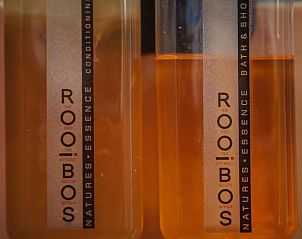 Guest house 4427204 - Holiday property West-Kaap - Guesthouse LaRachelle