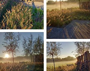 Guest house 446102 - Holiday property West Brabant - Vakantiehuis in Galder