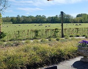 Guest house 446102 - Holiday property West Brabant - Vakantiehuis in Galder